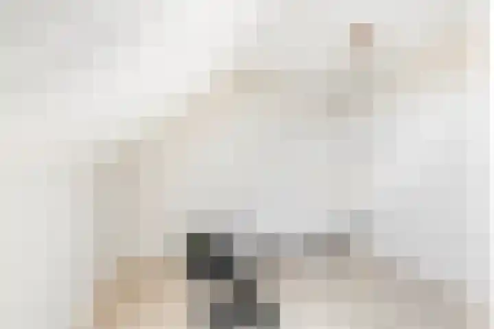 Grondel 21 Waddinxveen thumbnail 31