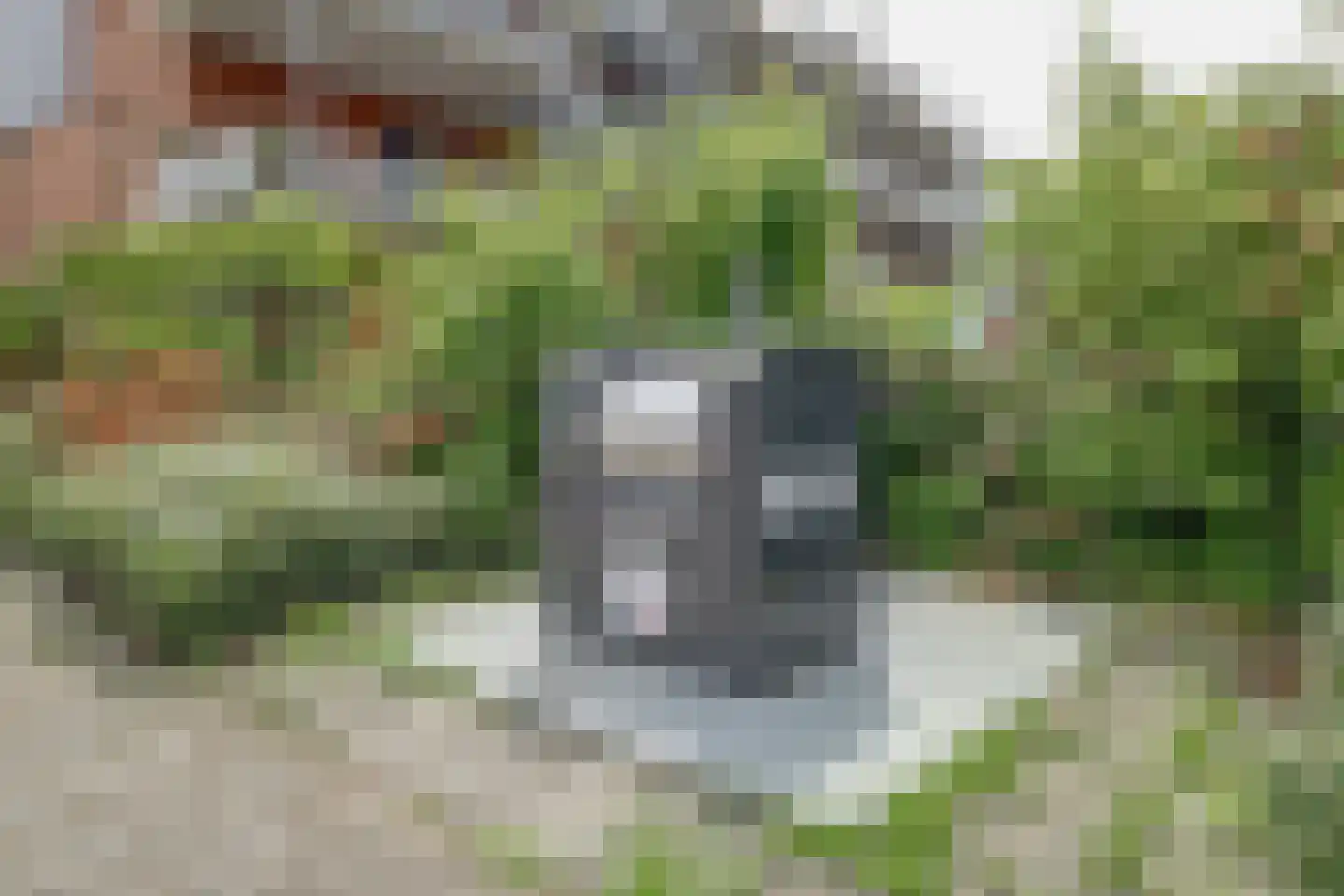 Grondel 3 Avenhorn thumbnail 36
