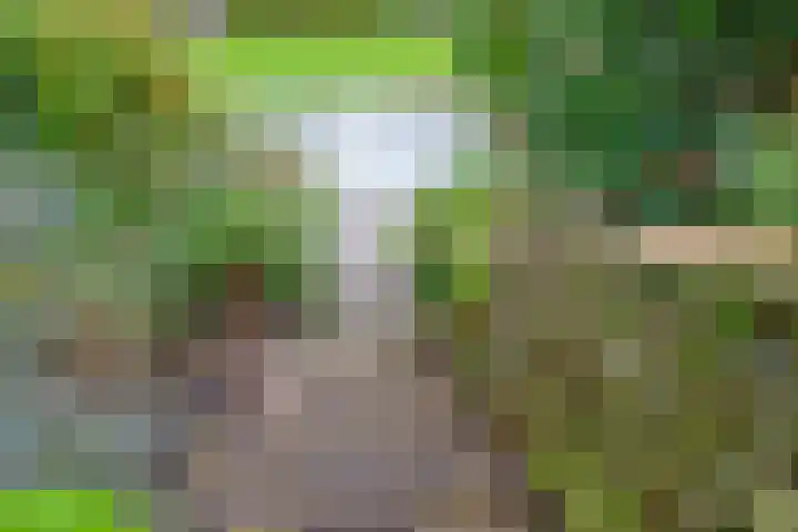 Grondel 35 Avenhorn thumbnail 33