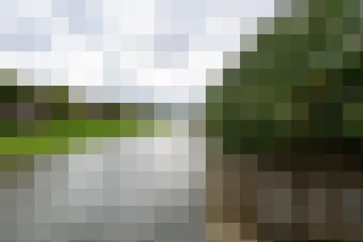 Grondel 35 Avenhorn thumbnail 34