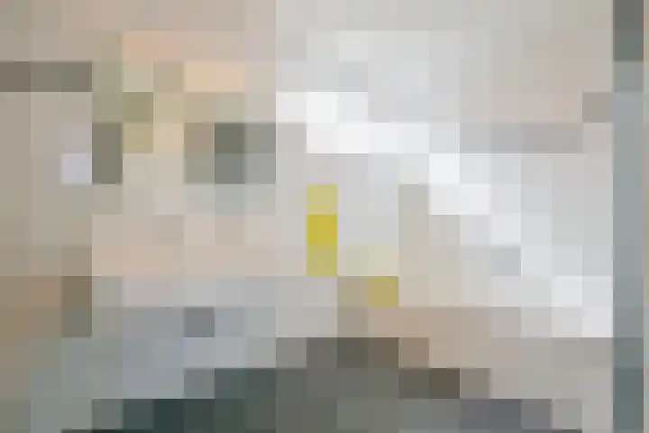 Grondel 35 Avenhorn thumbnail 4