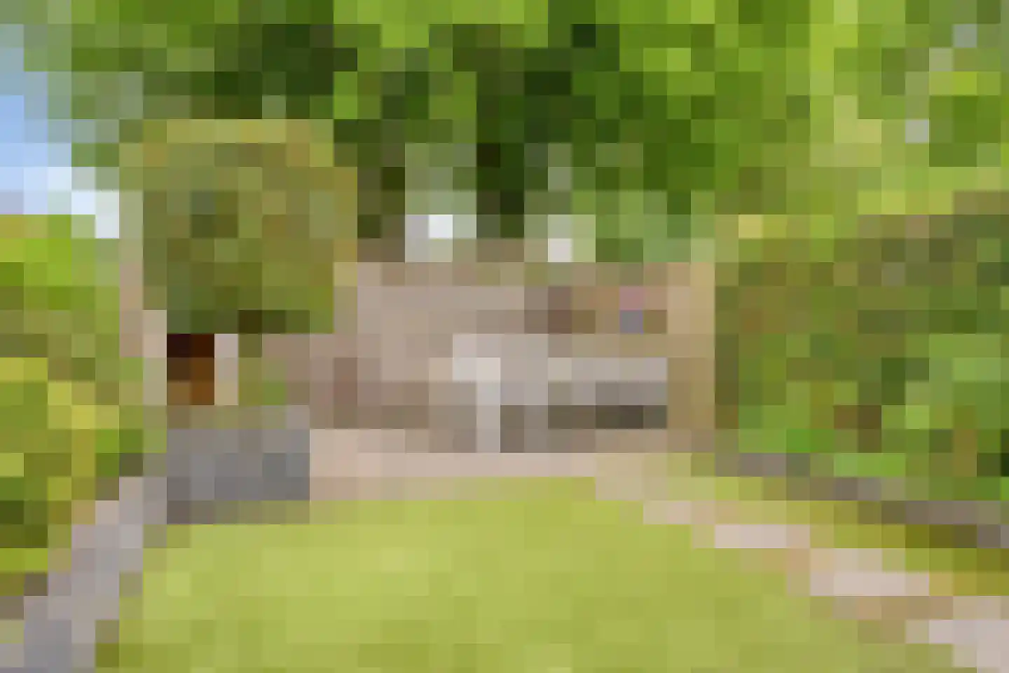 Grondel 5 Leusden thumbnail 35