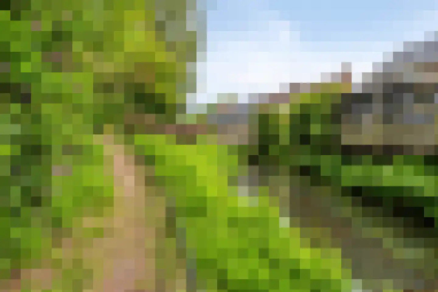 Grondel 5 Leusden thumbnail 41