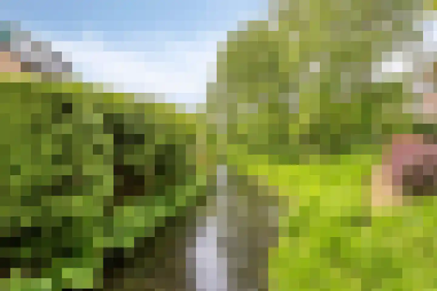 Grondel 5 Leusden thumbnail 42