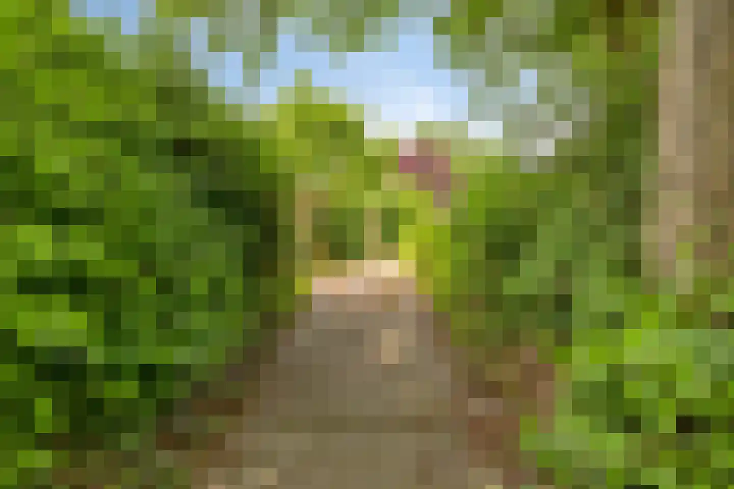Grondel 5 Leusden thumbnail 43