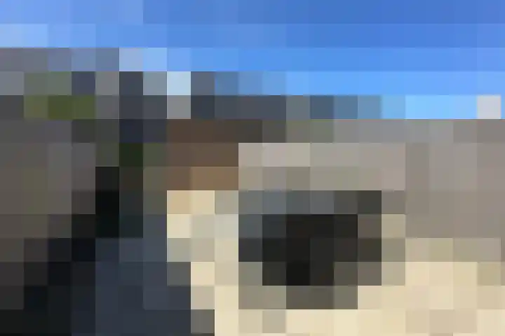 Grondel 6 Waddinxveen thumbnail 23