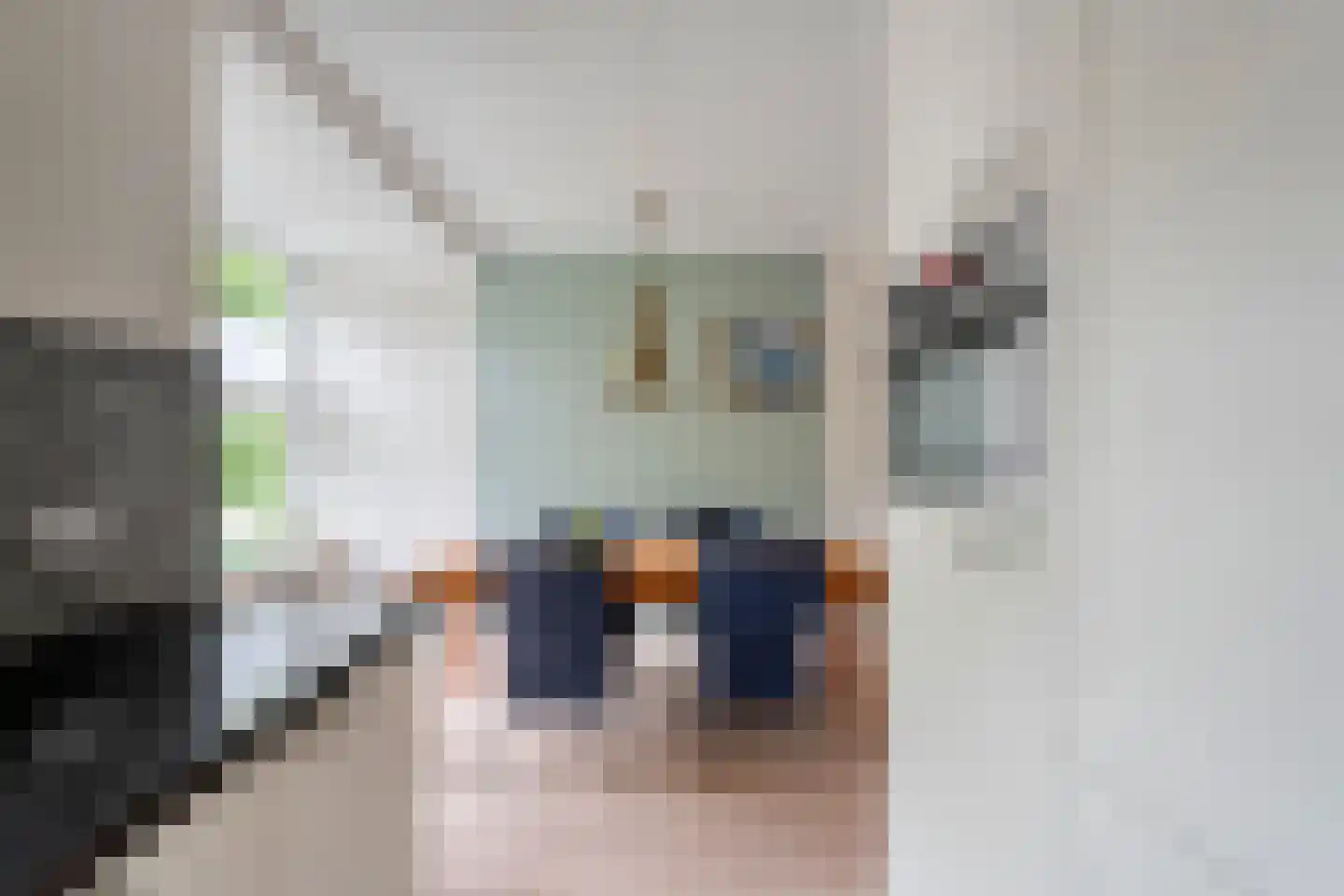 Grondel 7 Hoogeveen thumbnail 12