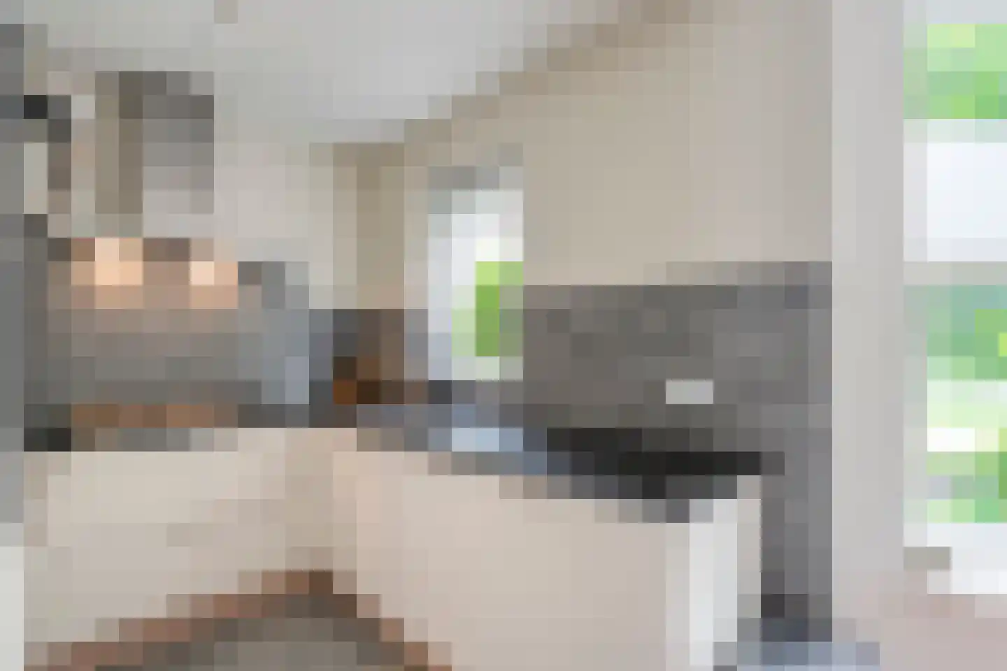 Grondel 7 Hoogeveen thumbnail 13