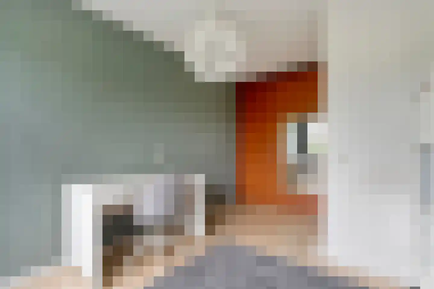 Grondel 7 Hoogeveen thumbnail 20