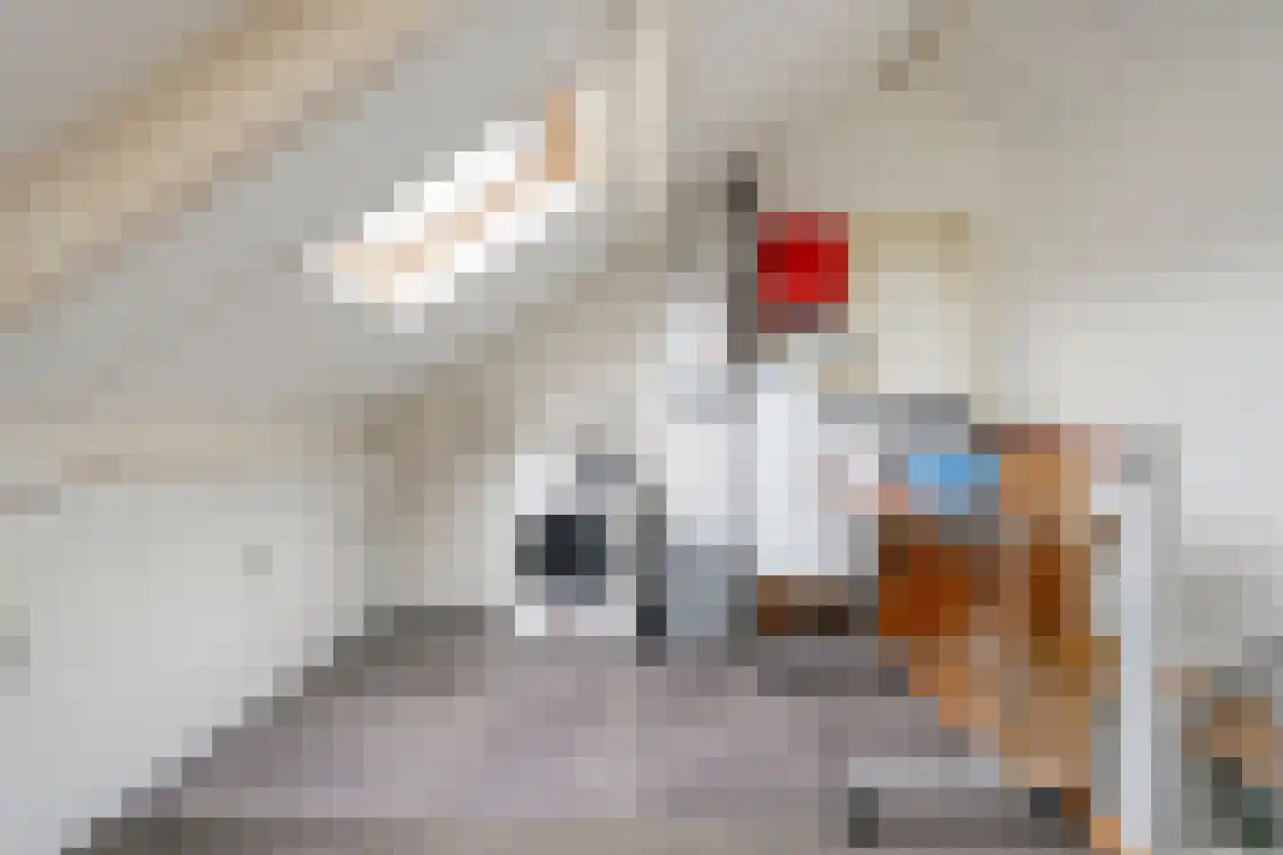 Grondel 7 Hoogeveen thumbnail 37