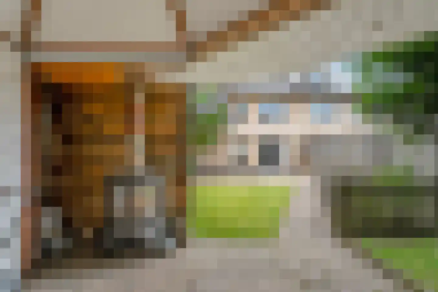 Grondel 7 Hoogeveen thumbnail 46