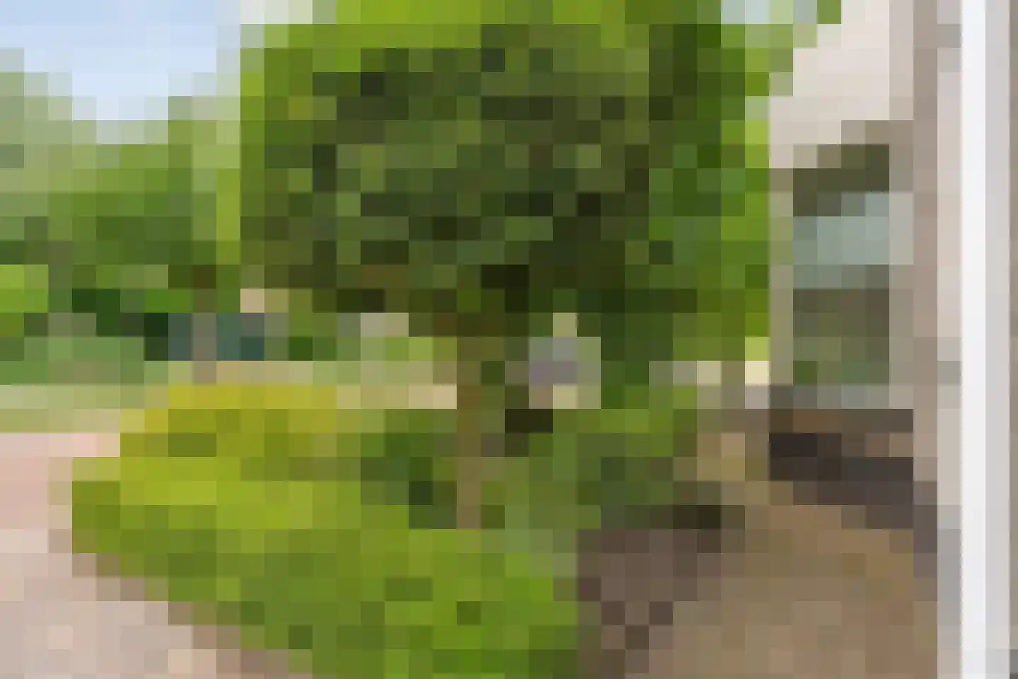 Grondel 7 Hoogeveen thumbnail 51