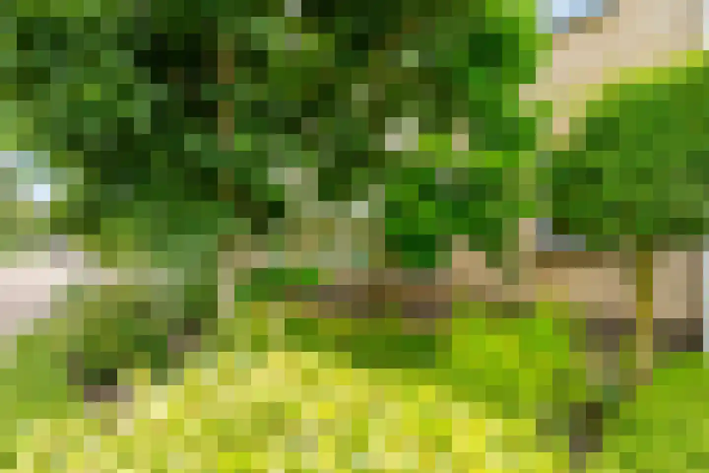 Grondel 7 Hoogeveen thumbnail 52