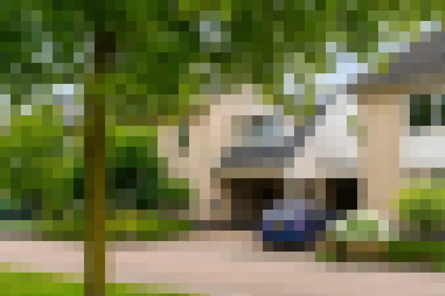 Grondel 7 Hoogeveen thumbnail 54