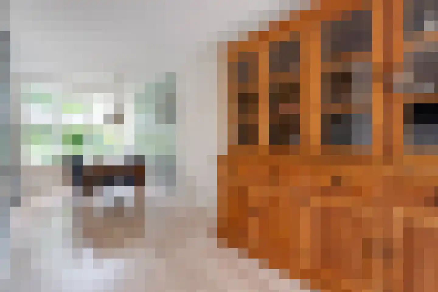 Grondel 7 Hoogeveen thumbnail 7
