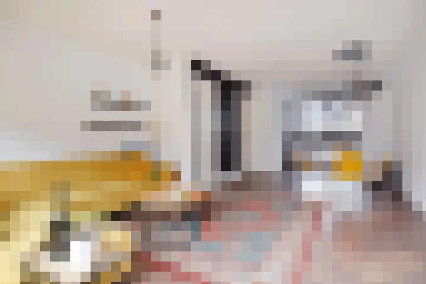 Grondel 8 Waddinxveen thumbnail 13