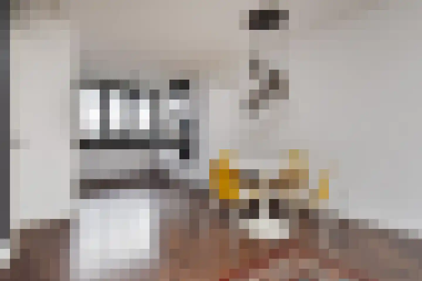 Grondel 8 Waddinxveen thumbnail 14