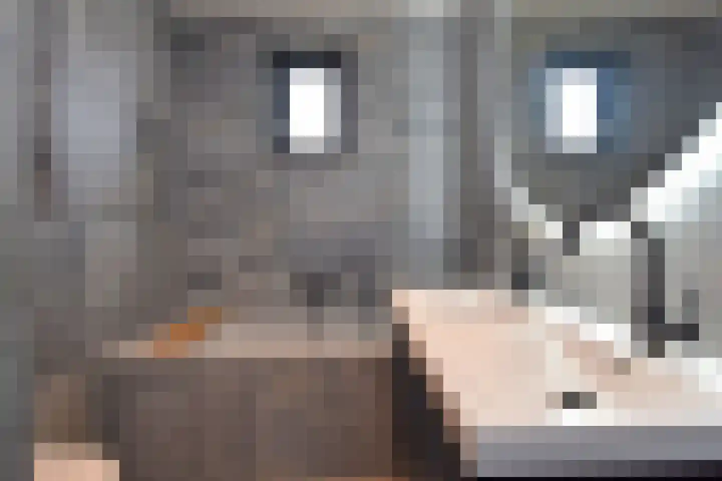 Grondel 8 Waddinxveen thumbnail 22