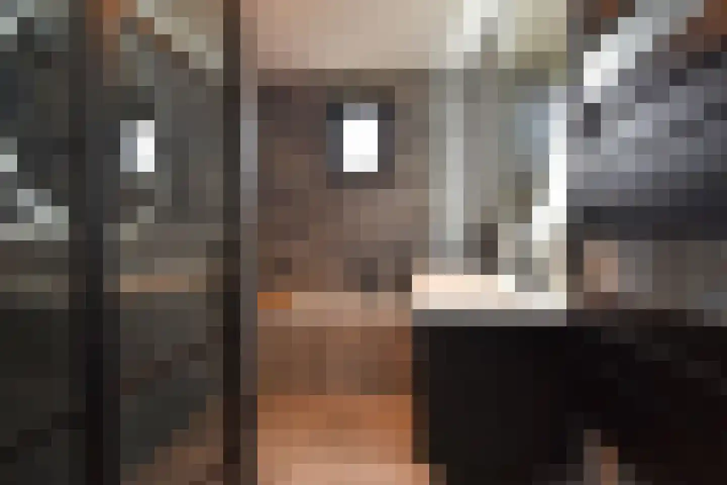 Grondel 8 Waddinxveen thumbnail 4
