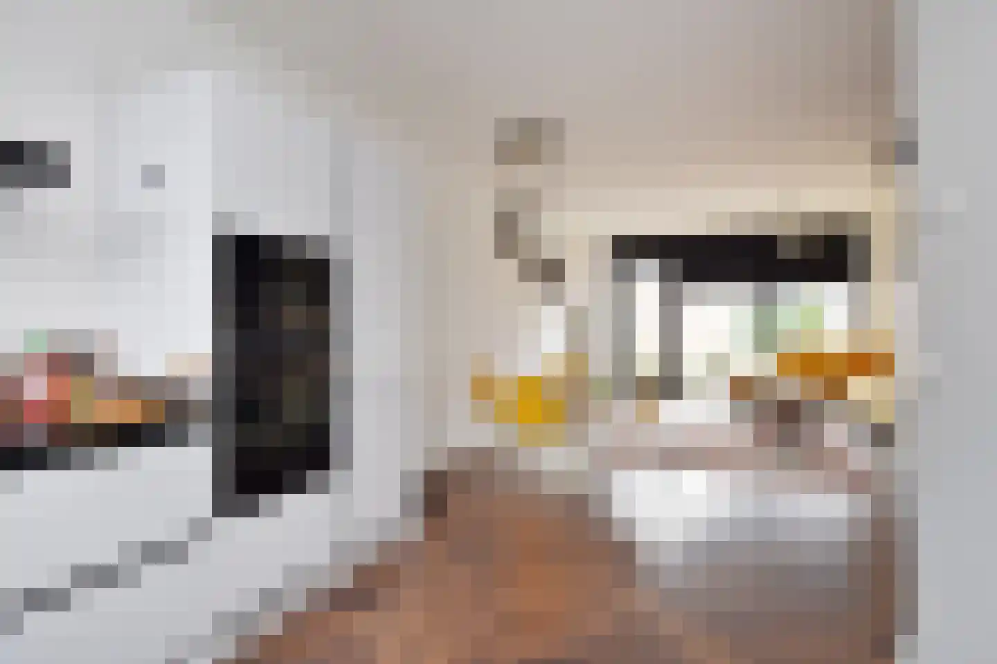 Grondel 8 Waddinxveen thumbnail 9