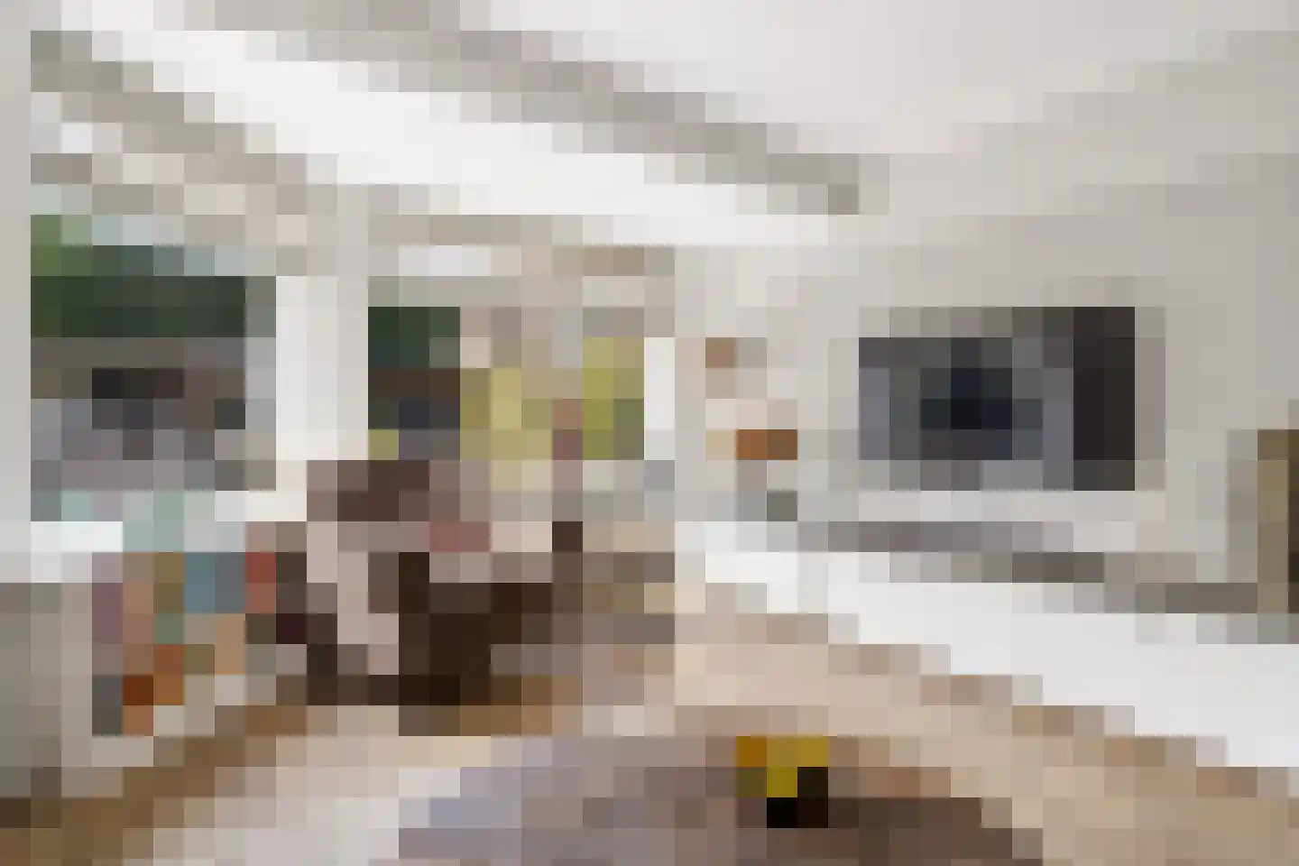 Grondel 8 Zeewolde thumbnail 22