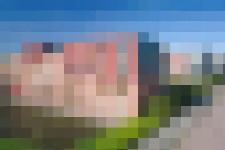 Grondel 9 Avenhorn thumbnail 41