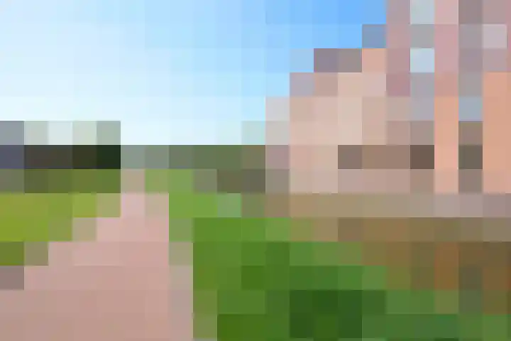 Grondel 9 Avenhorn thumbnail 8