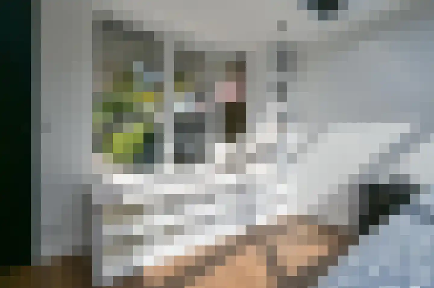 Grondel 9 Zeewolde thumbnail 26