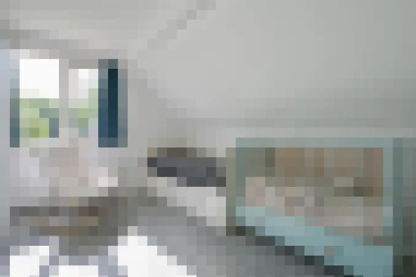 Grondel 9 Zeewolde thumbnail 36