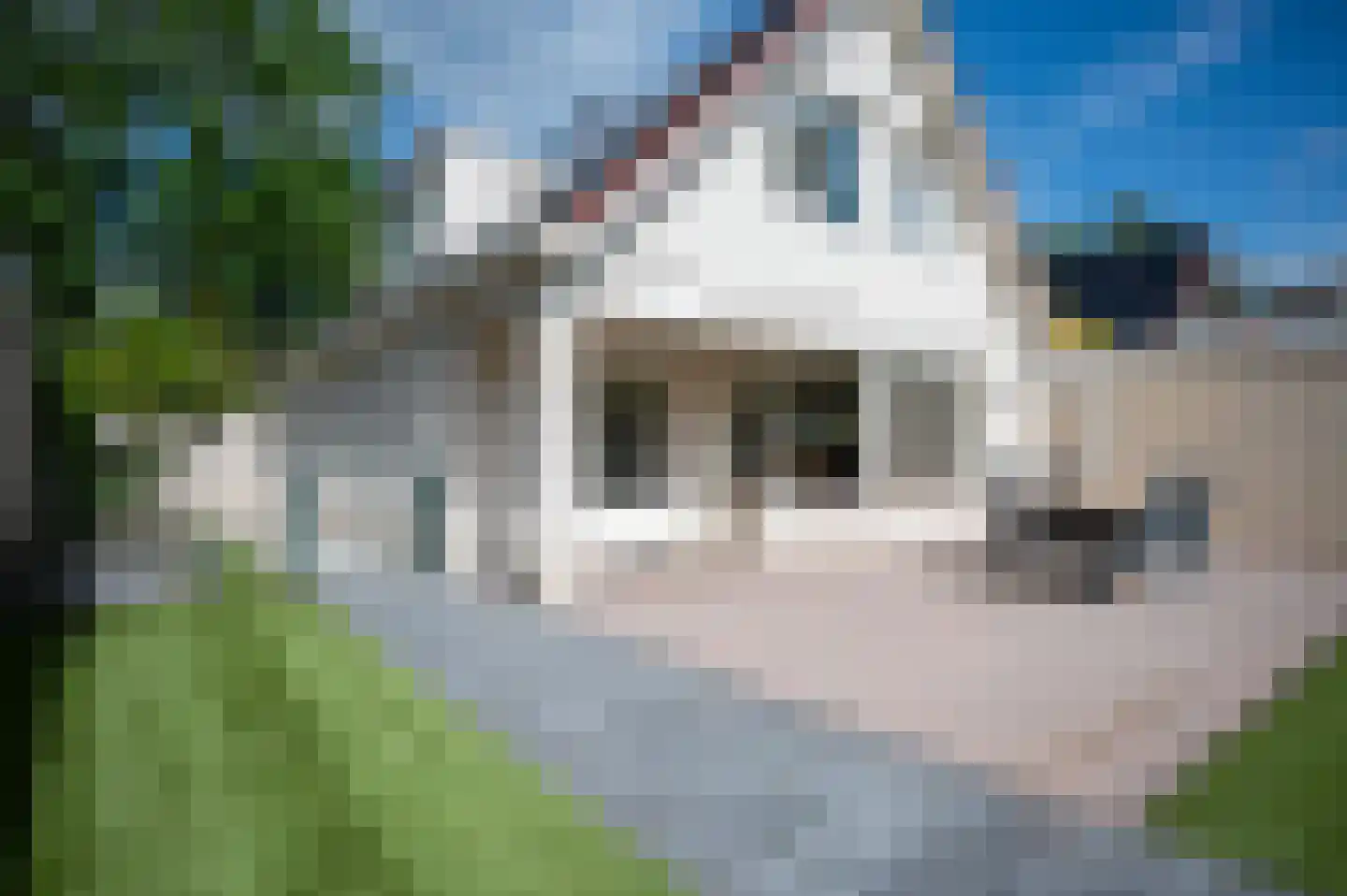 Grondel 9 Zeewolde thumbnail 48