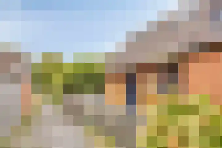 Grondelsloot 53 Zoetermeer thumbnail 30