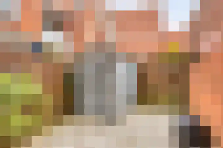 Grondelsloot 53 Zoetermeer thumbnail 5