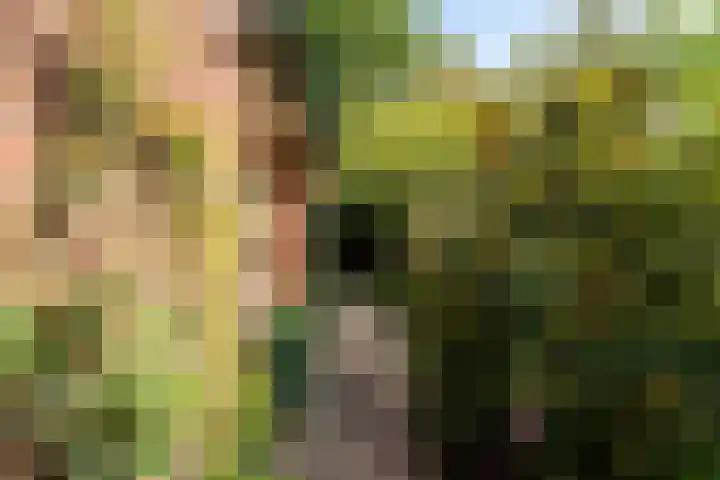 Grondelsloot 6 Zoetermeer thumbnail 6