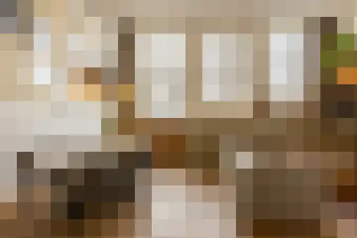 Grondherenstraat 64 B Rotterdam thumbnail 7