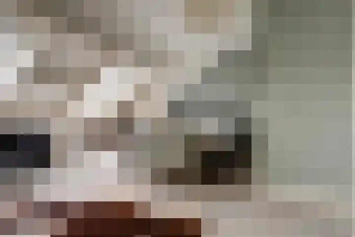 Grondmolen 2 Vianen thumbnail 29