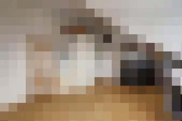 Grondmolen 2 Vianen thumbnail 36