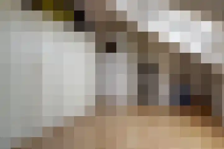 Grondmolen 2 Vianen thumbnail 38