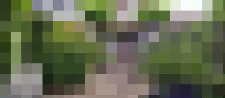 Grondmolen 2 Vianen thumbnail 45