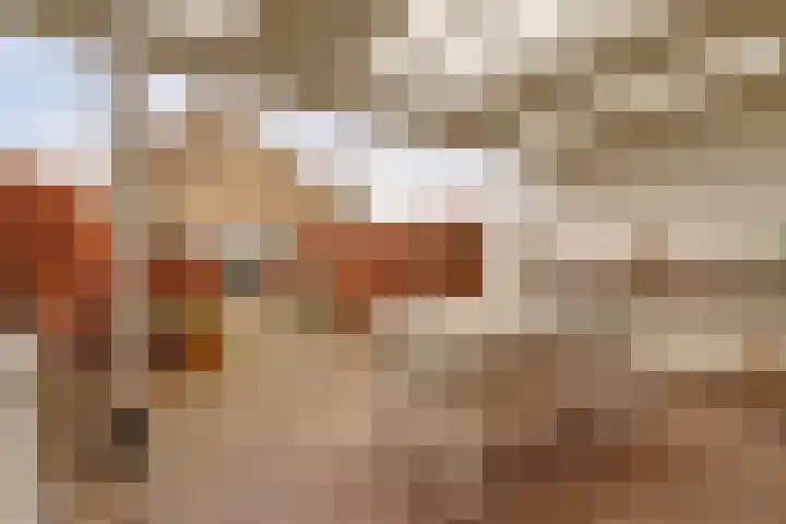 Grondmolen 2 Vianen thumbnail 5
