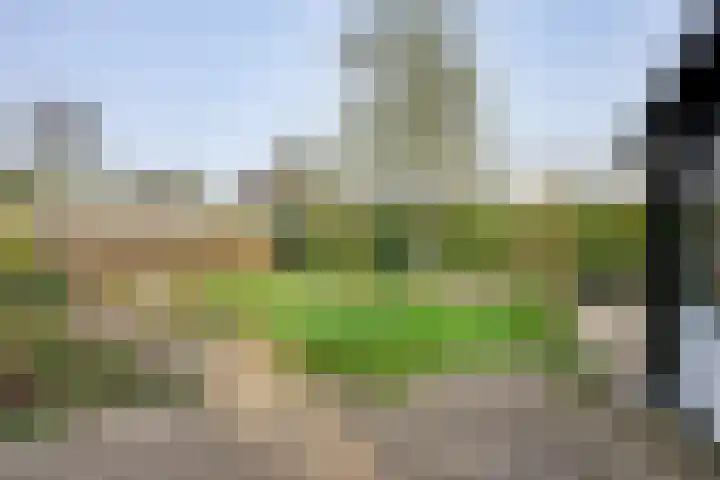 Grondmolen 21 Barendrecht thumbnail 24