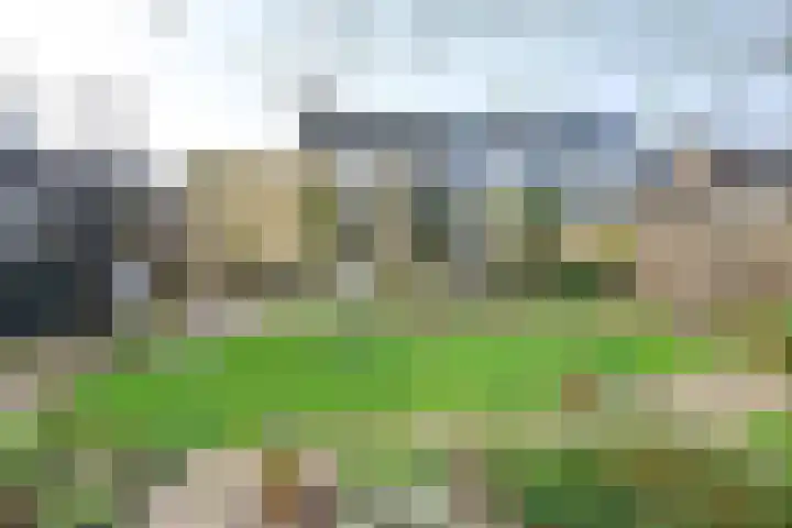 Grondmolen 21 Barendrecht thumbnail 26