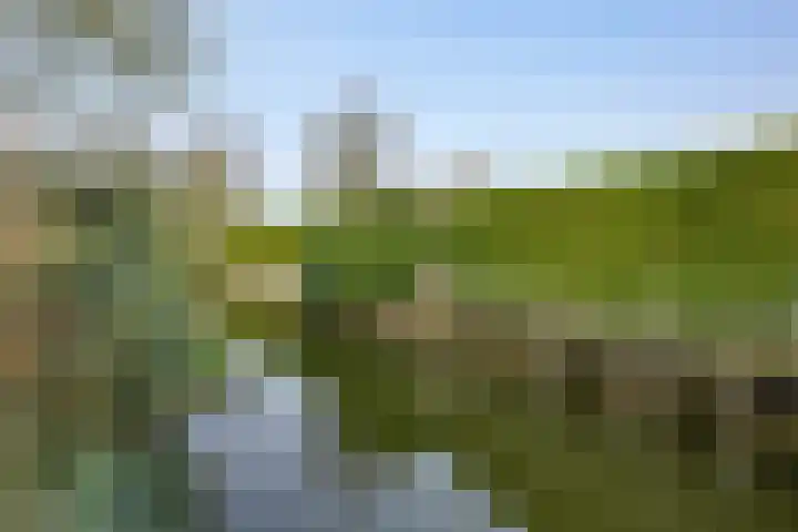 Grondmolen 21 Barendrecht thumbnail 30