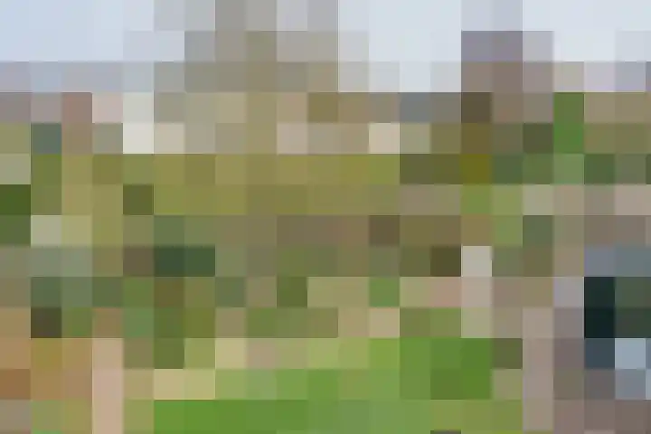 Grondmolen 21 Barendrecht thumbnail 4