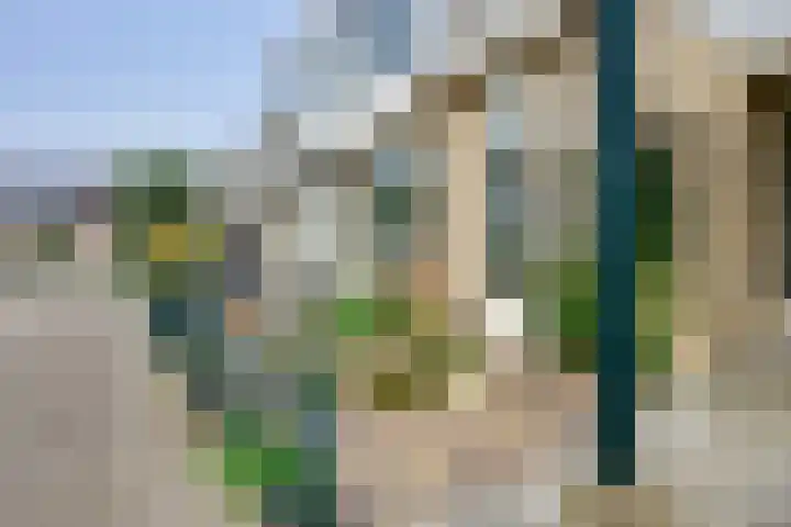 Grondmolen 21 Barendrecht thumbnail 8