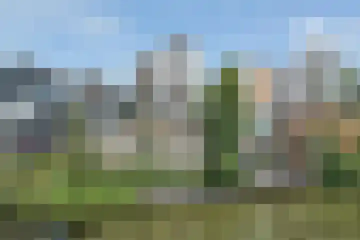 Grondmolen 3 Papendrecht thumbnail 40
