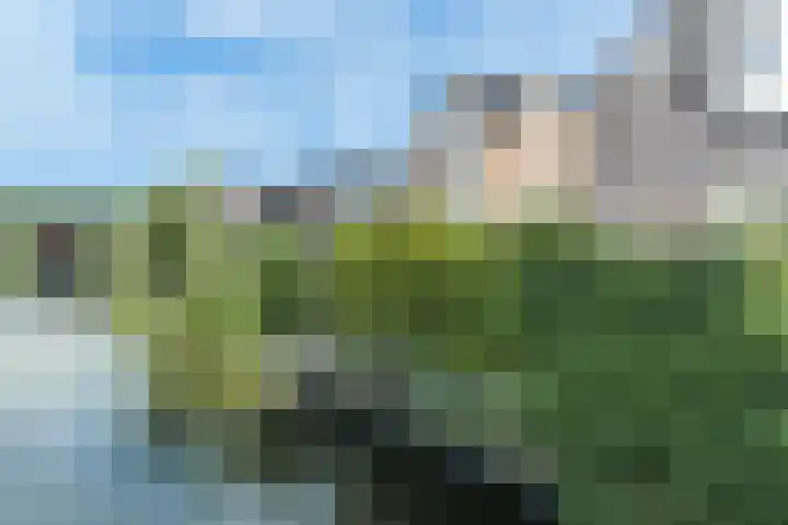 Grondmolen 3 Papendrecht thumbnail 41