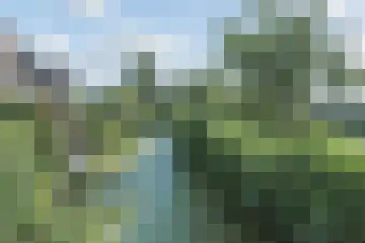 Grondmolen 3 Papendrecht thumbnail 45