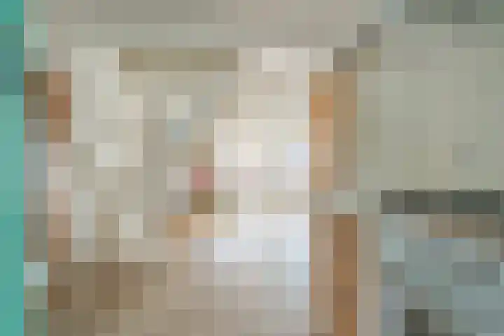 Grondmolen 3 Papendrecht thumbnail 6