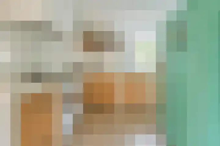 Grondmolen 3 Papendrecht thumbnail 7