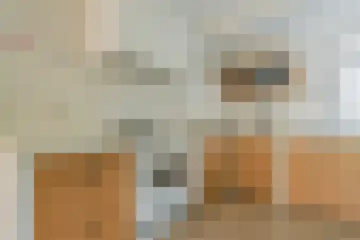 Grondmolen 3 Papendrecht thumbnail 8
